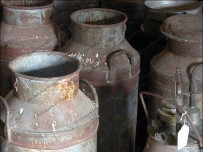 Milk churns saved from the scrap man Milk churns saved from the scrap man